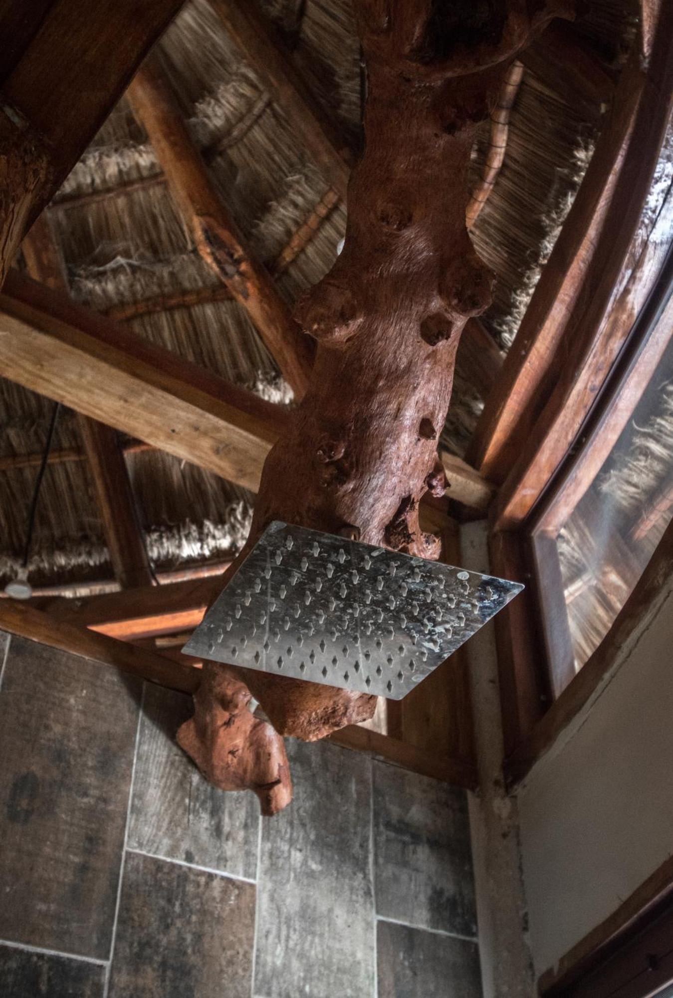Villa Pepem Holistic Experience - Peaceful Retreat Near Tulum (Adults Only) Exterior foto