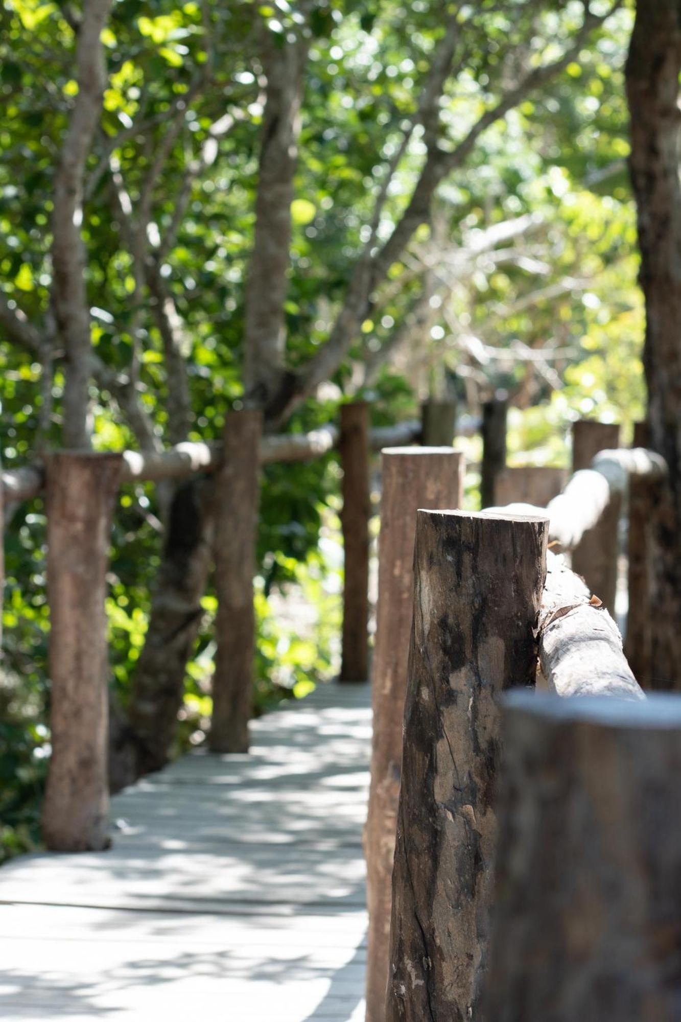 Villa Pepem Holistic Experience - Peaceful Retreat Near Tulum (Adults Only) Exterior foto