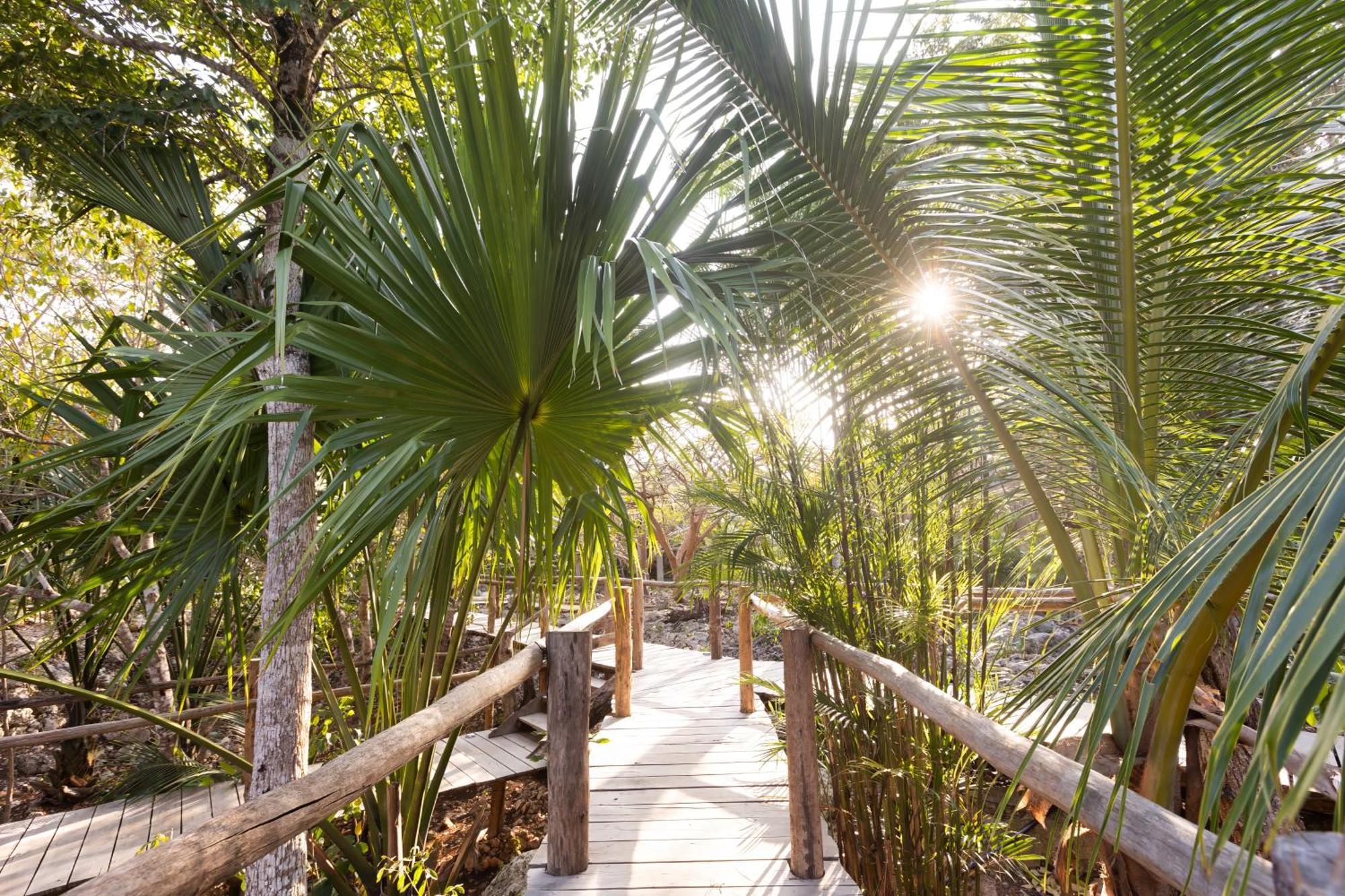 Villa Pepem Holistic Experience - Peaceful Retreat Near Tulum (Adults Only) Exterior foto